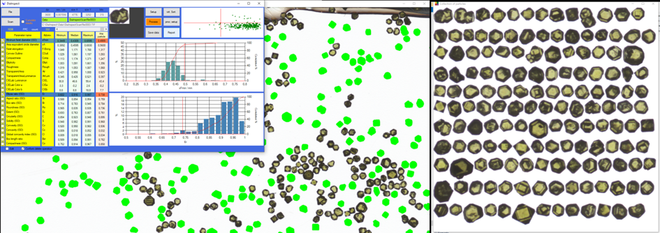 VDiamant DiaInspect DLM